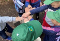 Niezapominajki i Bratki zdobywają szczyt Waligóry