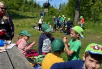 Niezapominajki i Bratki zdobywają szczyt Waligóry