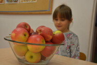 Dzień jabłka u Bławatków