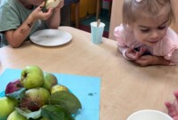 Dzień jabłka – Stokrotki