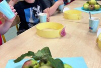 Dzień jabłka – Stokrotki