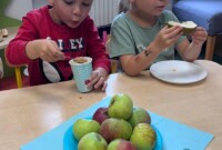 Dzień jabłka – Stokrotki