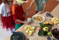 Dzień jabłka – Stokrotki