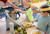 Dzień jabłka – Stokrotki