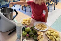 Dzień jabłka – Stokrotki