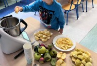 Dzień jabłka – Stokrotki