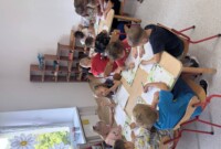 Pierwszy tydzień Niezapominajek