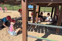 Pierwszy tydzień Niezapominajek