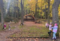 Dzień drzewa – Niezapominajki