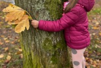 Dzień drzewa – Niezapominajki