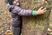 Dzień drzewa – Niezapominajki