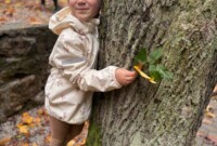 Dzień drzewa – Niezapominajki