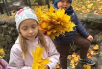 Dzień drzewa – Niezapominajki