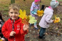 Dzień drzewa – Niezapominajki