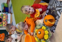 Dzień dyni u Bratków