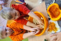 Dzień dyni u Bratków