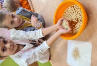 Dzień dyni u Bratków