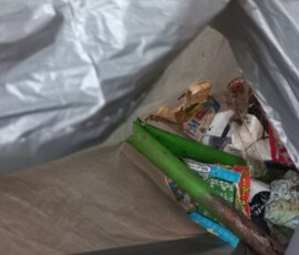Niezapominajki sprzątają świat