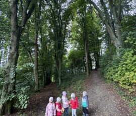 Leśny czwartek Fiołków – Mali odkrywcy Kościelnej Góry