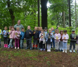 Czwartek w lesie