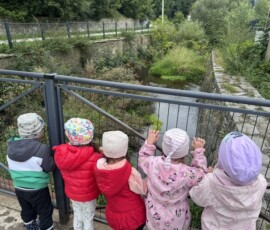 Leśny czwartek Fiołków – Mali odkrywcy Kościelnej Góry