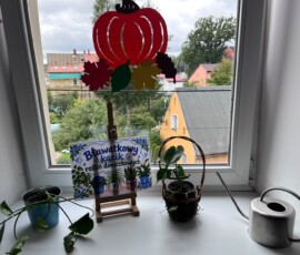 Kącik roślin doniczkowych