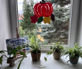 Kącik roślin doniczkowych