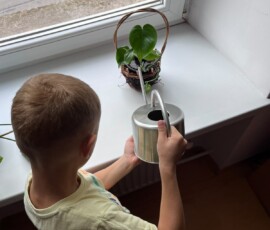 Kącik roślin doniczkowych