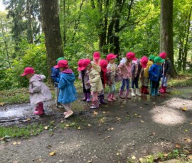 Leśne Czwartki u Stokrotek!