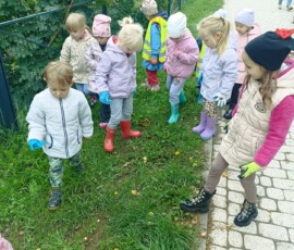 Stokrotki ratują naszą planetę!
