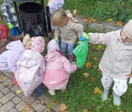 Stokrotki ratują naszą planetę!