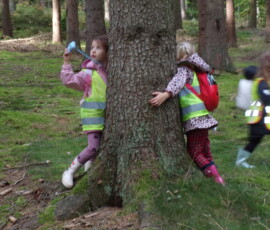KODAK Digital Still Camera Wycieczka do lasu