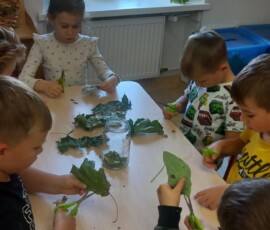 Leśne poszukiwania i eksperymenty w Niezapominajkach