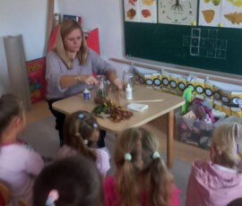 Leśne poszukiwania i eksperymenty w Niezapominajkach