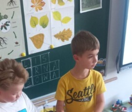 Leśne poszukiwania i eksperymenty w Niezapominajkach