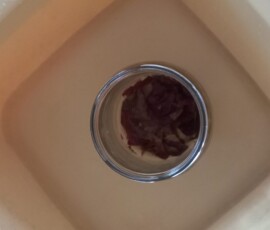 Leśne poszukiwania i eksperymenty w Niezapominajkach