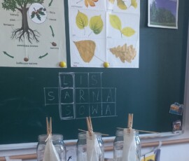 Leśne poszukiwania i eksperymenty w Niezapominajkach