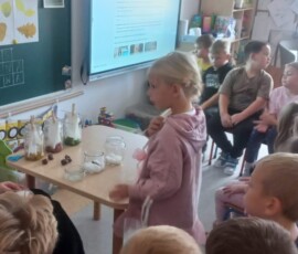 Leśne poszukiwania i eksperymenty w Niezapominajkach