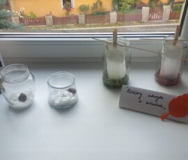Leśne poszukiwania i eksperymenty w Niezapominajkach