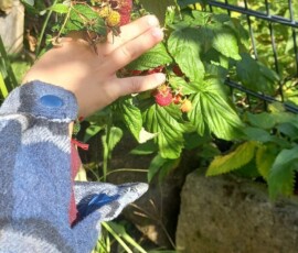 „Z wizytą w warzywniaku” – zdrowo jem, więcej wiem