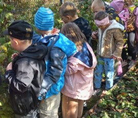 „Z wizytą w warzywniaku” – zdrowo jem, więcej wiem