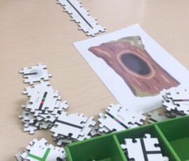 Jesienne zapasy – wiewiórka zbiera orzechy