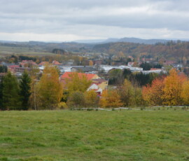 Leśny czwartek „na gorąco”