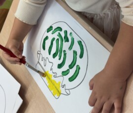 „Zdrowie na talerzu” u Fiołków
