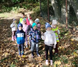 Leśne wyprawy Bratków